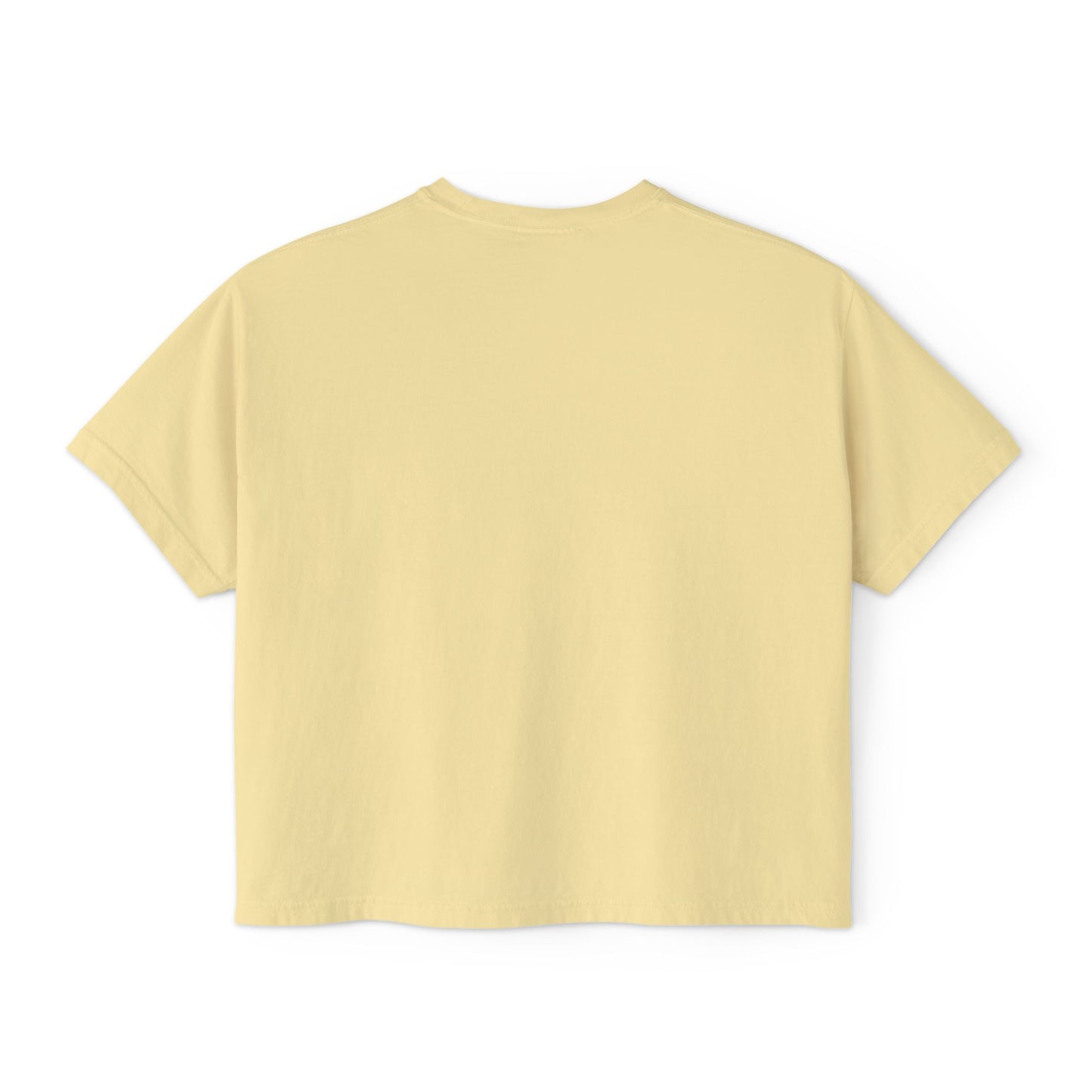 "Distinguished Pigeon" Women's Boxy Tee, Birds, Pigeons, Rats in the Sky with Diamonds 3/8