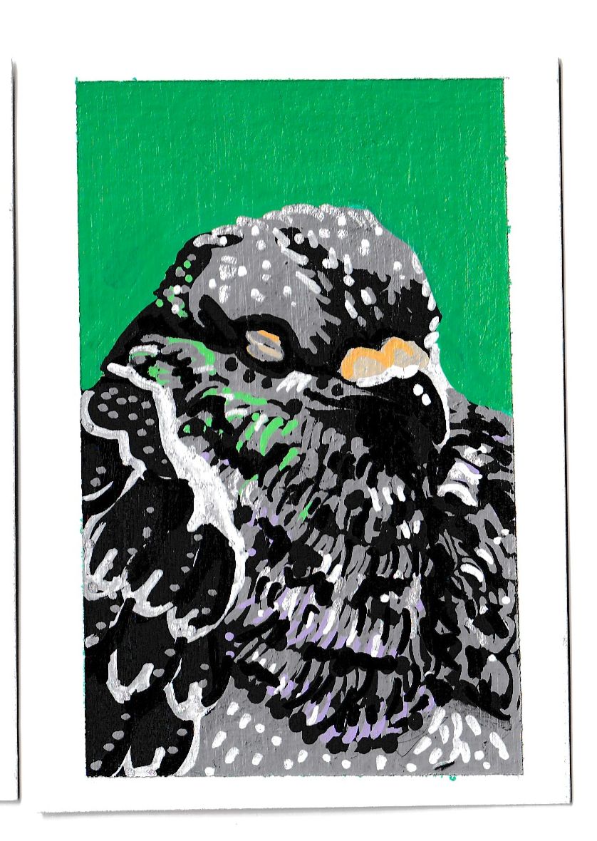 "At Ease Pigeon" Women's Boxy Tee, Bird, Rats in the Sky with Diamonds ACEO 2/8