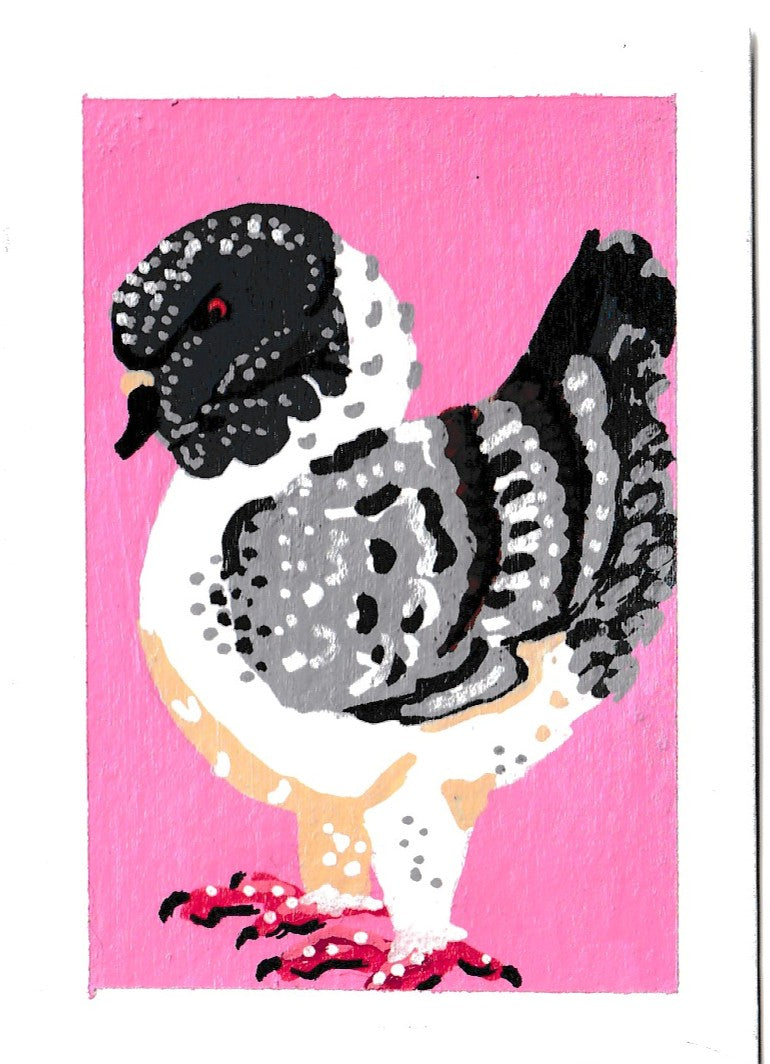 "Distinguished Pigeon" Women's Boxy Tee, Birds, Pigeons, Rats in the Sky with Diamonds 3/8