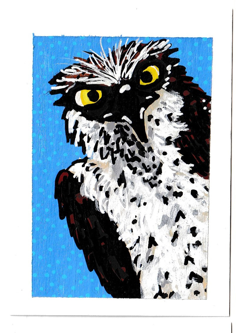 "American Kestrel" Car Air Freshener, Bird of Prey, Pacific Northwest Wildlife, Oregon Riverbanks ACEOs 3/8