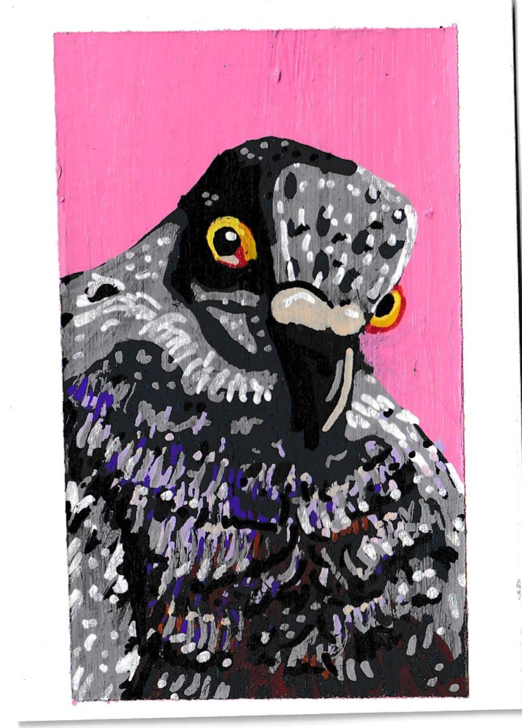 "Shady Pigeon" Spiral Bound Journal, Birds, Pigeons, Rats in the Sky with Diamonds ACEOs 5/8