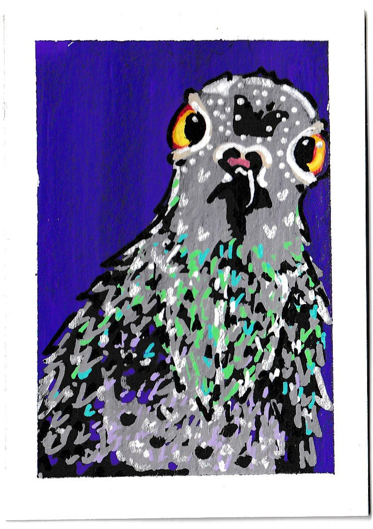 "Suspicious Pigeon" Women's Boxy Tee, Bird, Rats in the Sky with Diamonds ACEO 6/8