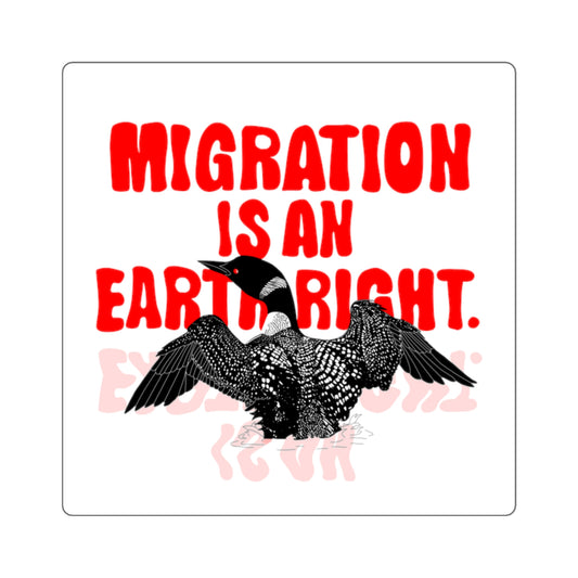 Roo’s Foster Friends, Migration is an Earth Right, Square Stickers