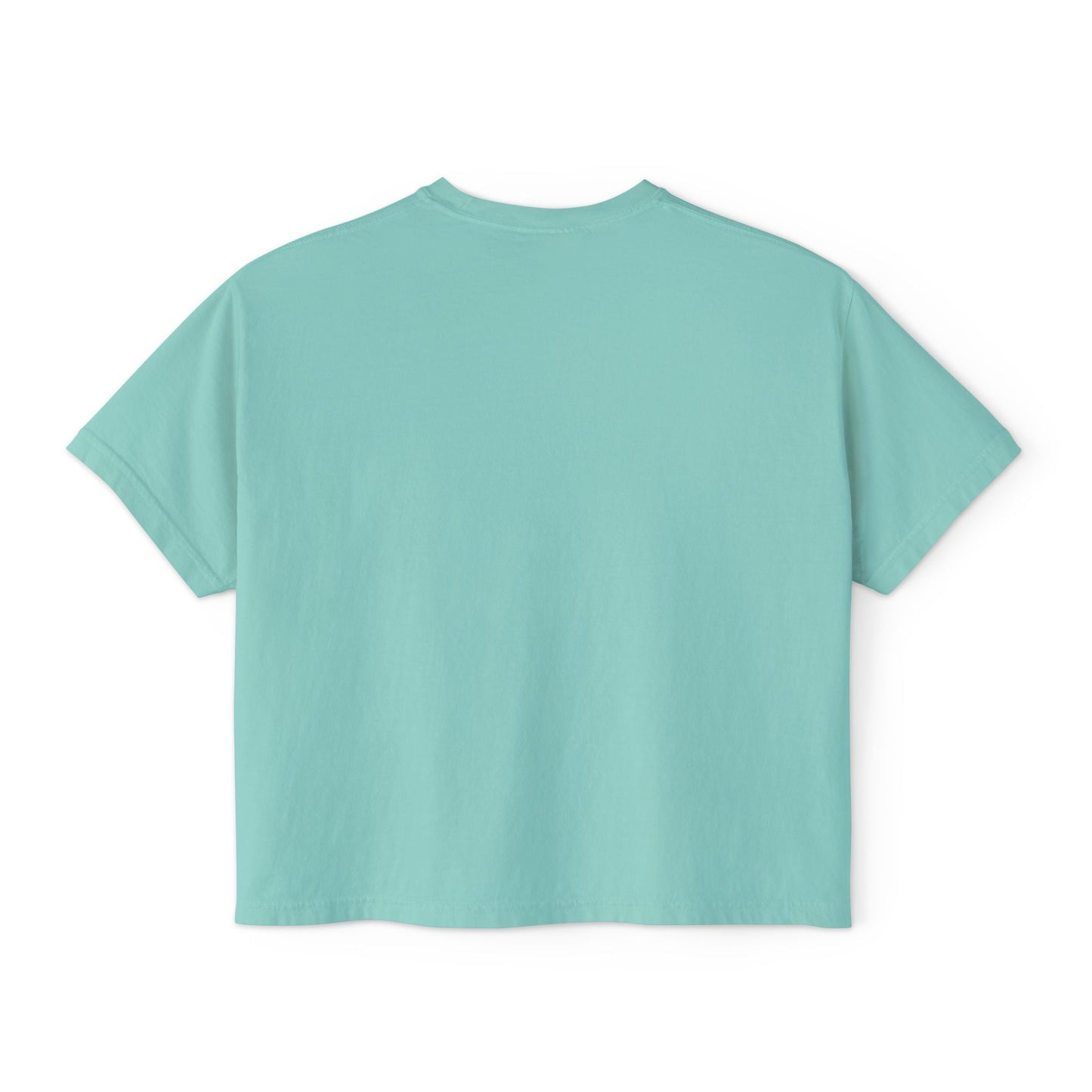 "Distinguished Pigeon" Women's Boxy Tee, Birds, Pigeons, Rats in the Sky with Diamonds 3/8