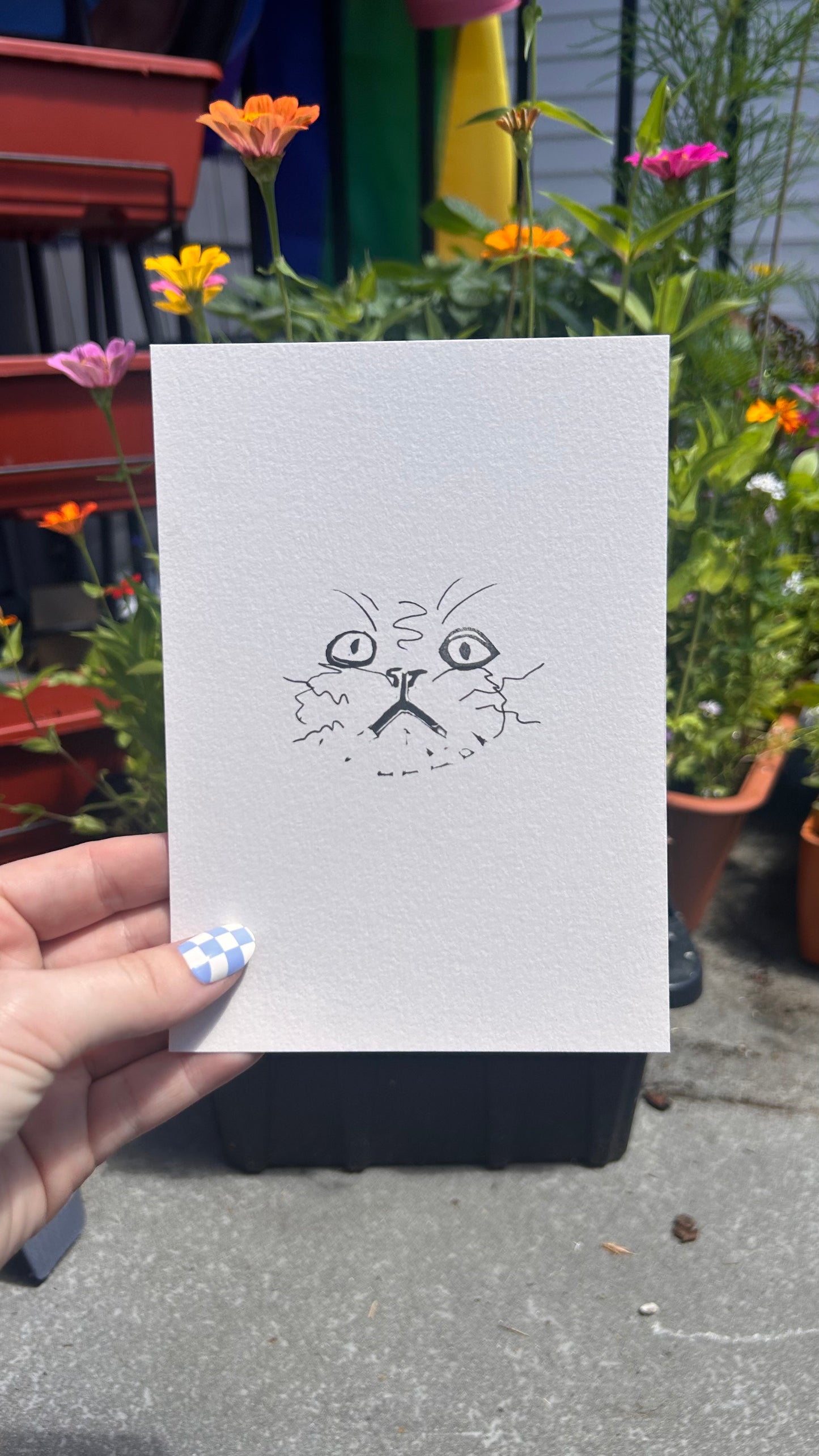 Sentient Cats Trapped in Cardstock
